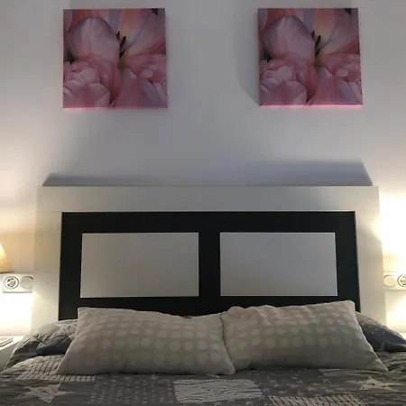 Elegance 2-serviden Dénia